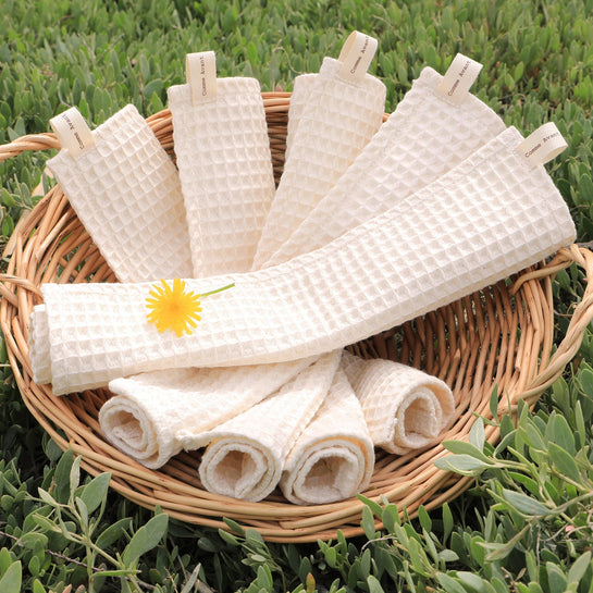 Lot de 5 essuie-tout lavables en Coton